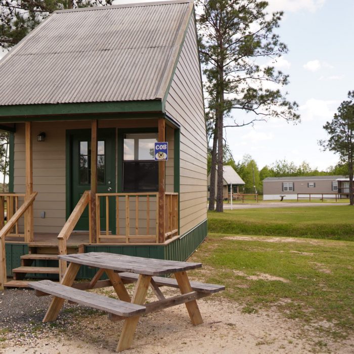 Yogi Bear Cabin 2